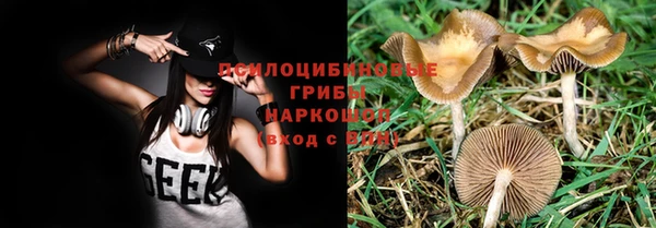 винт Арсеньев